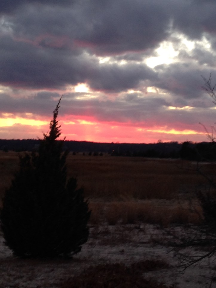 c1f8830d-4254-44c0-89ff-87416e10f319